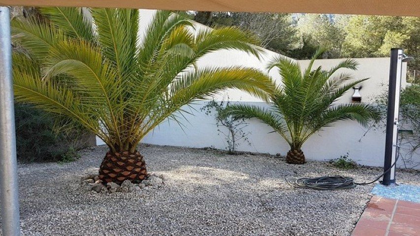 Property 2453 - Image 14